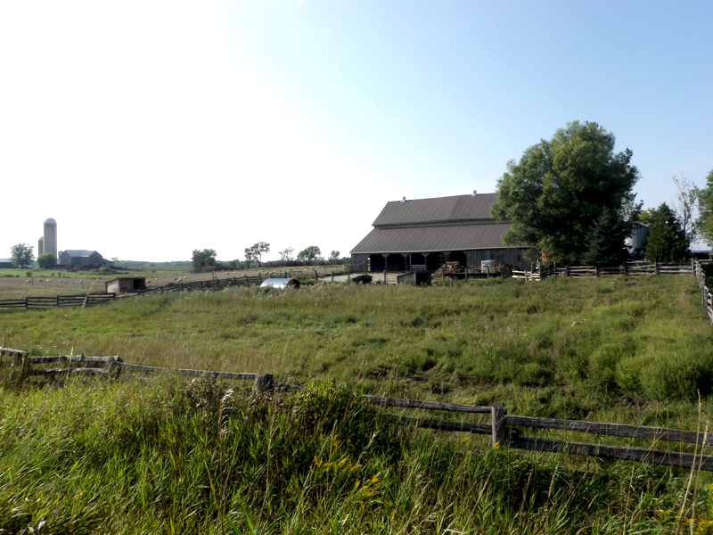 Alverstoke Farm